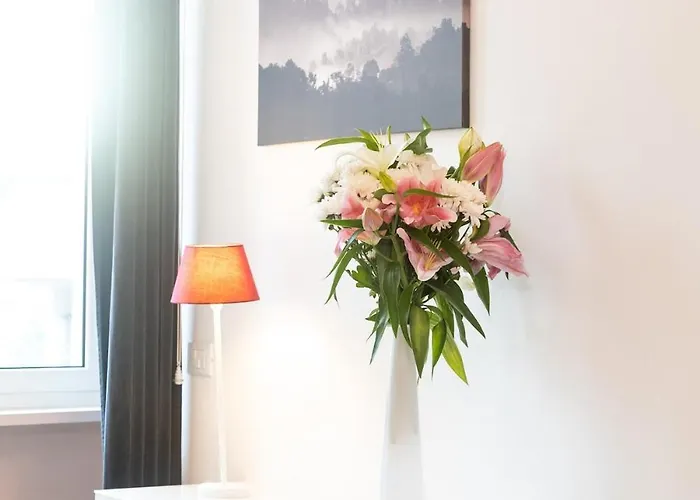 C&y Vaticano * روما